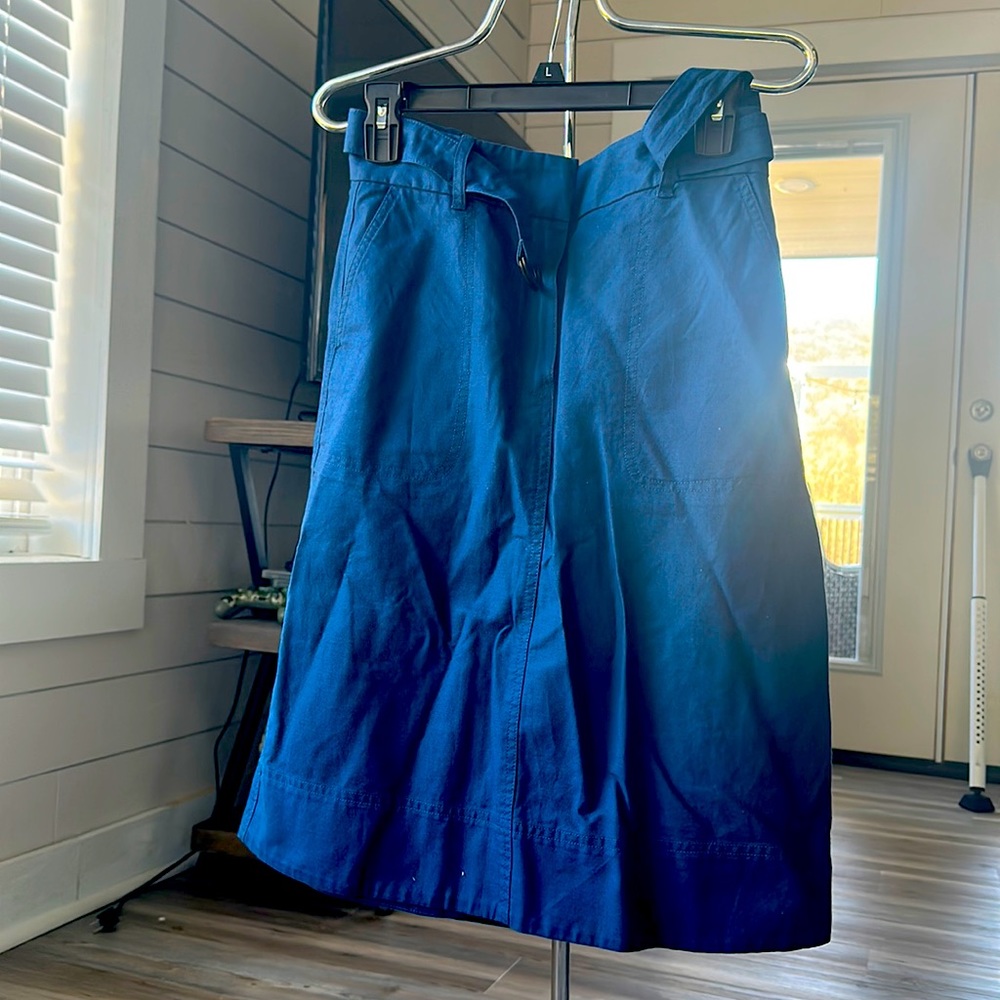 Babaton Blue skirt